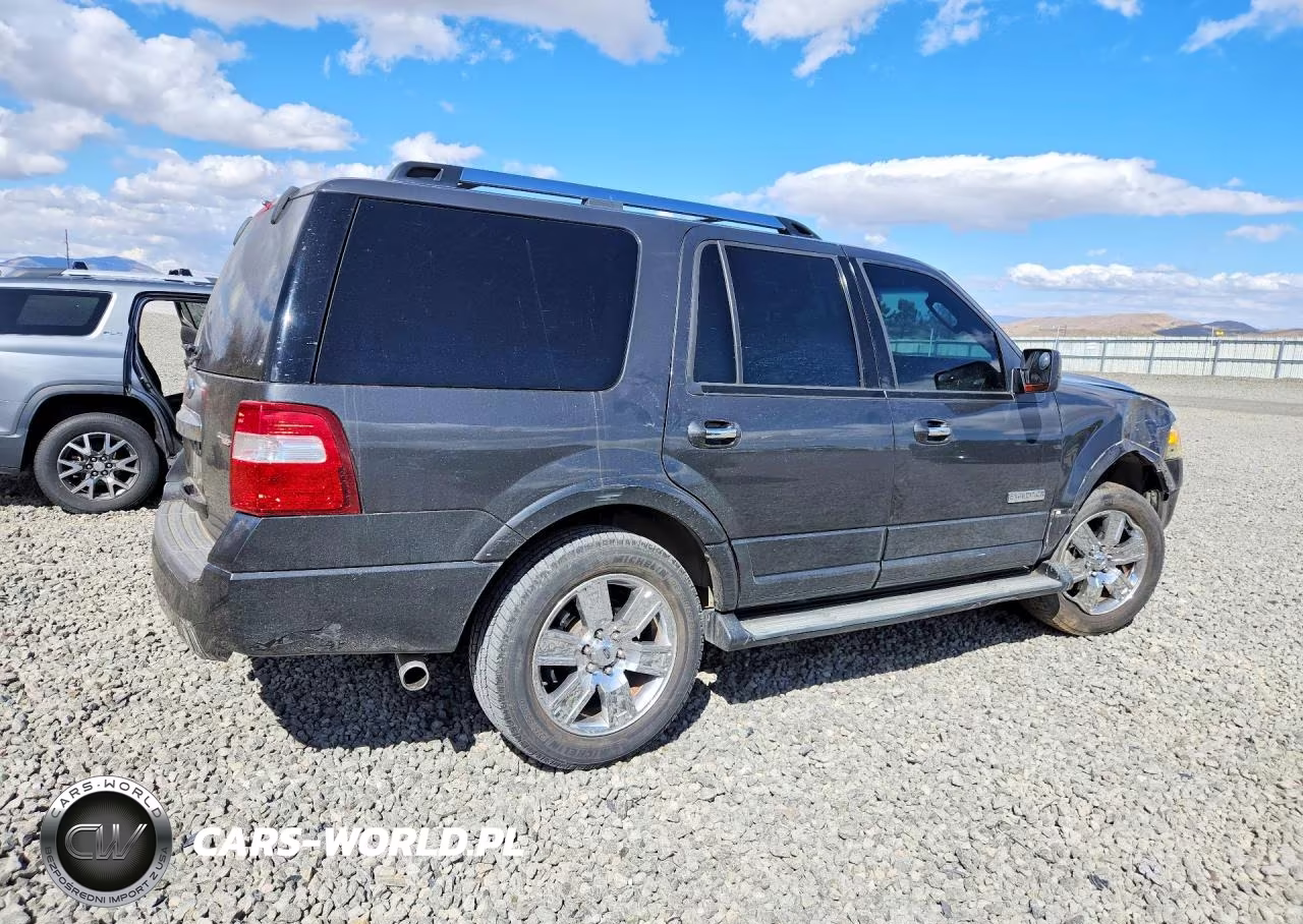 2007 Ford Expedition Limited VIN:1FMFU20537LA53124 - 3