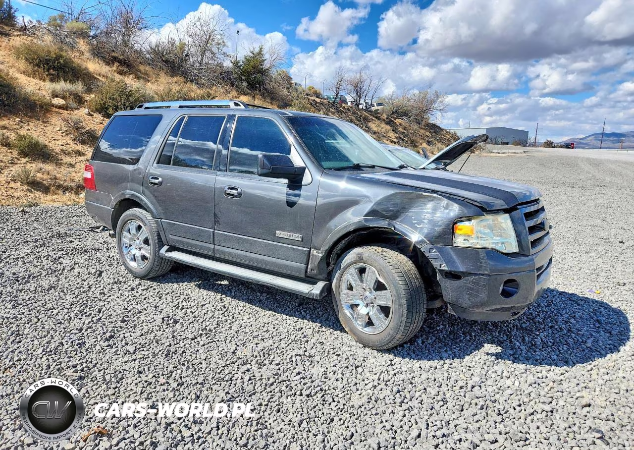 2007 Ford Expedition Limited VIN:1FMFU20537LA53124 - 4