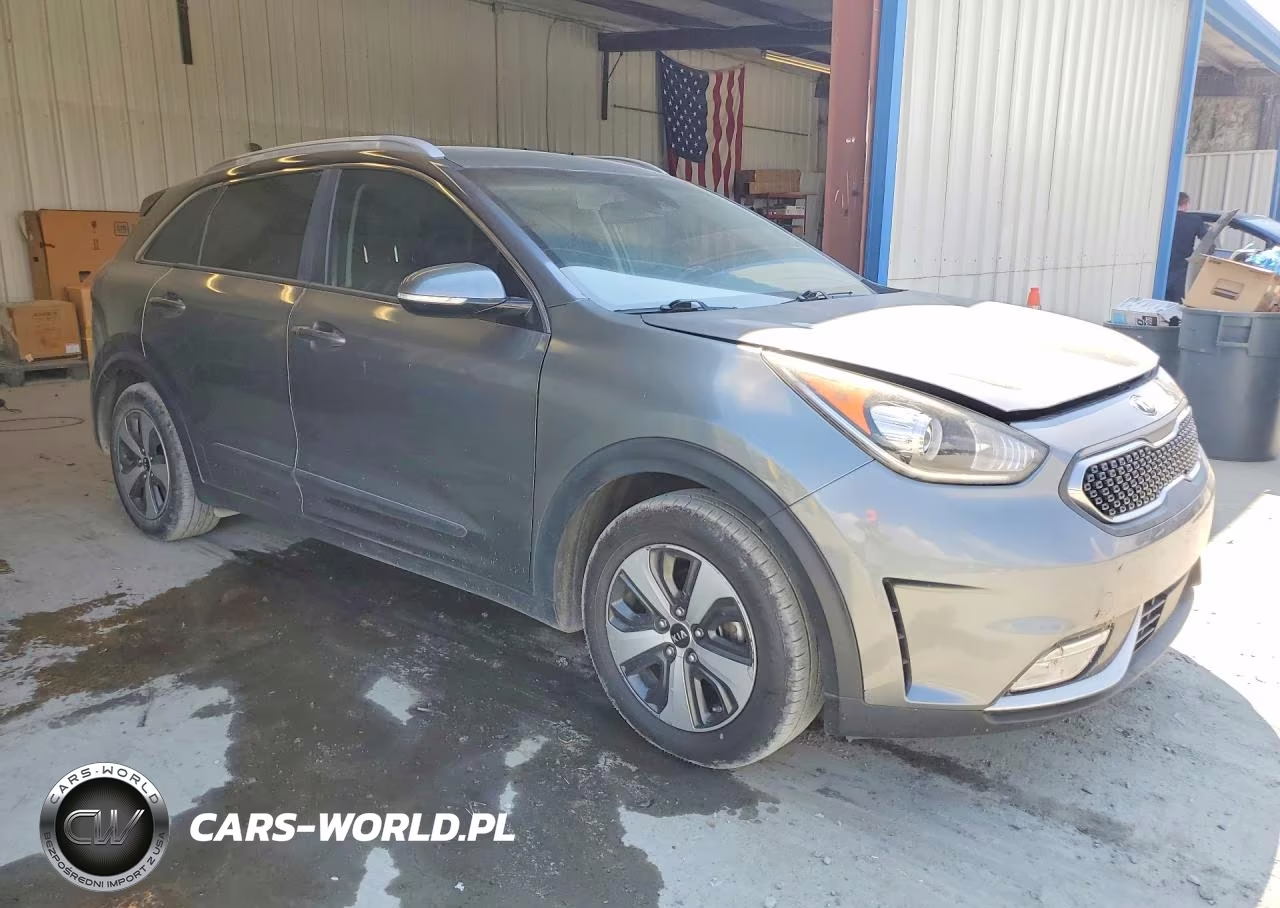 2017 Kia Niro Ex VIN:KNDCC3LC3H5081635 - 4