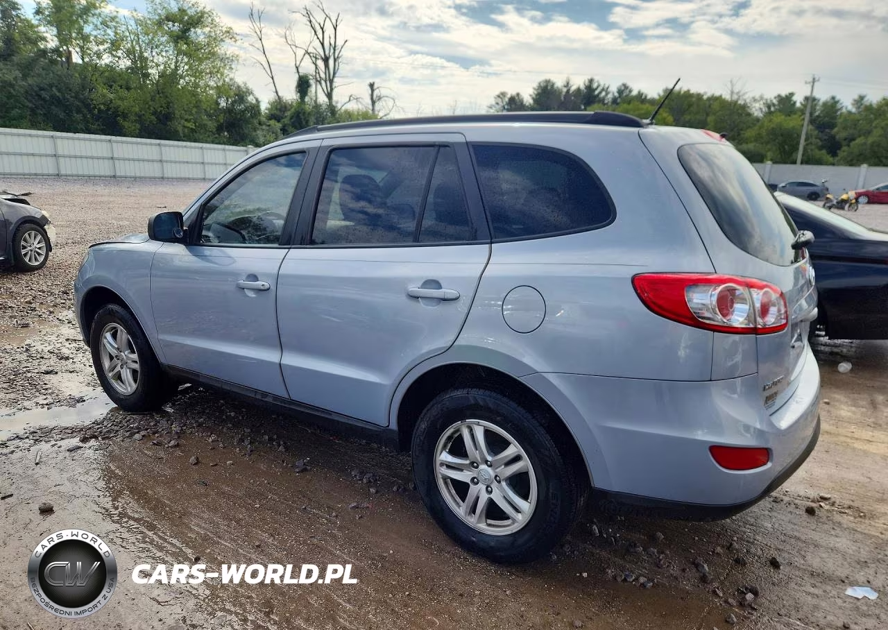 2010 Hyundai Santa Fe Gls VIN:5NMSGDAB0AH410469 - 2