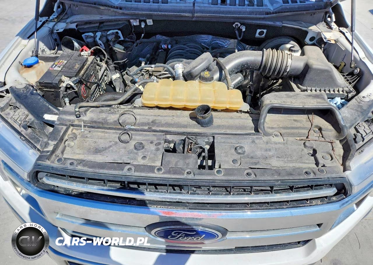 2019 Ford F150 VIN:1FTMF1C54KKD65981 - 11