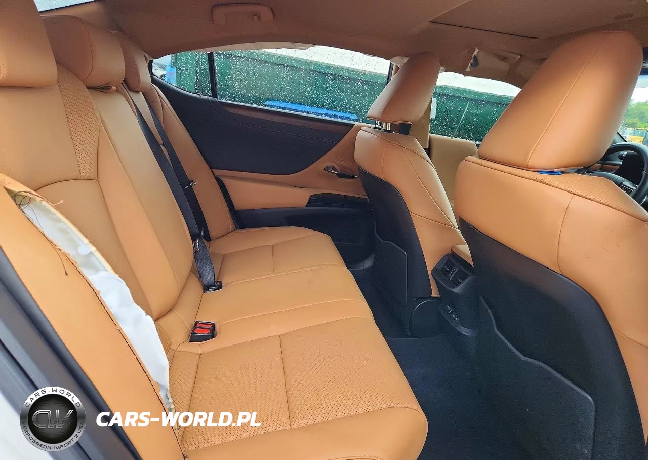 2025 Lexus Es 300H Base VIN:58ADA1C16SU072619 - 10
