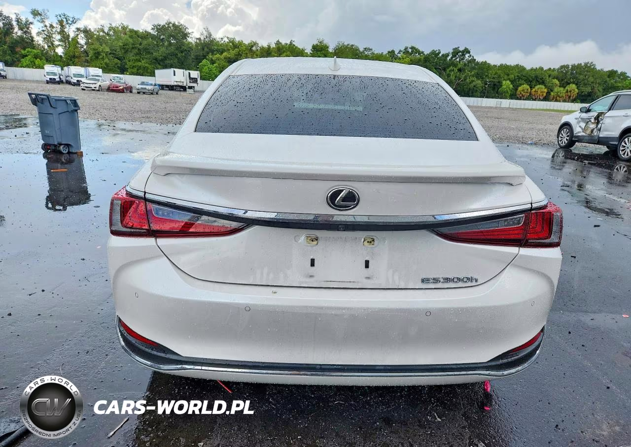 2025 Lexus Es 300H Base VIN:58ADA1C16SU072619 - 6