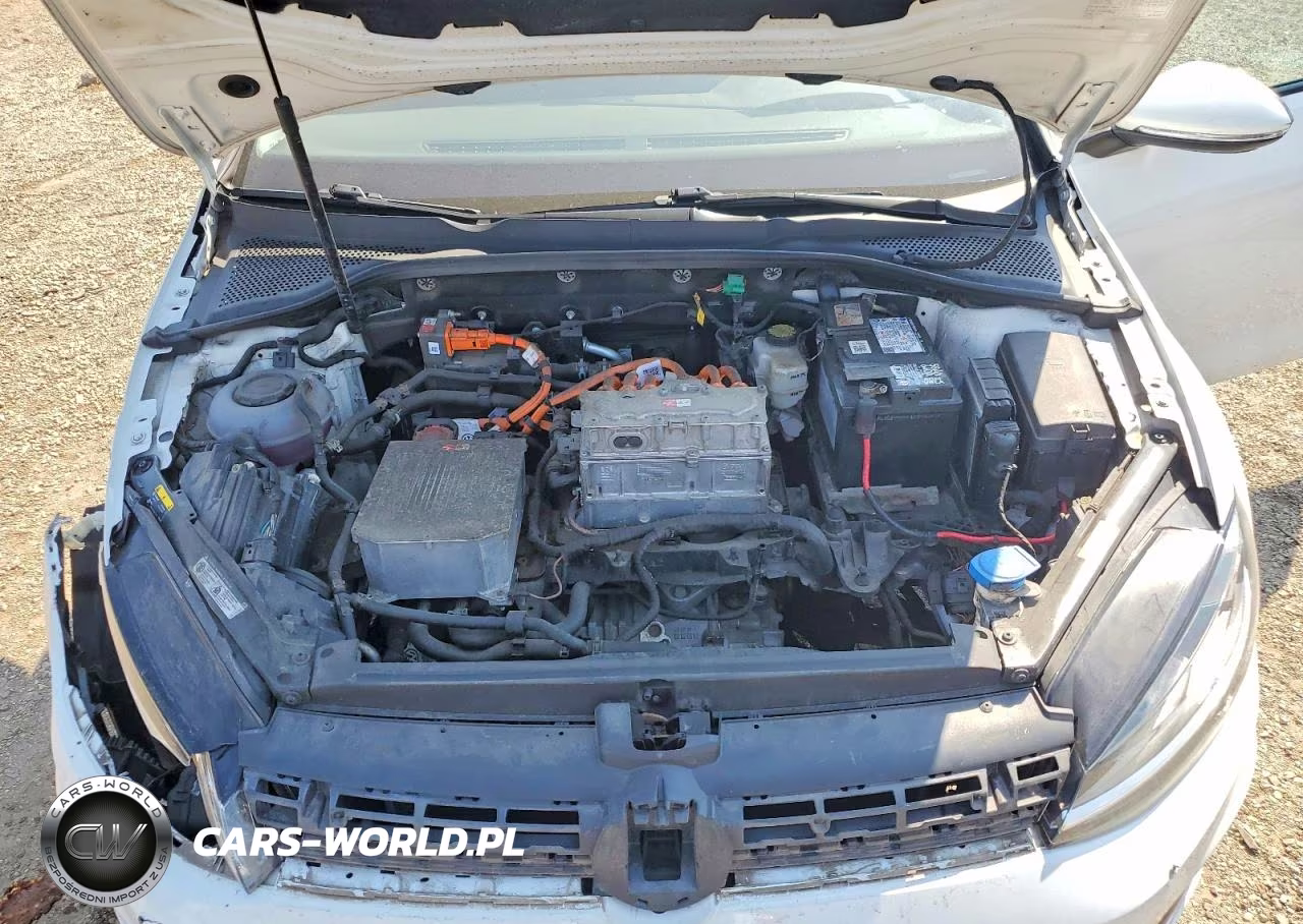 2018 Volkswagen E-Golf Se VIN:WVWKR7AU0JW907225 - 11