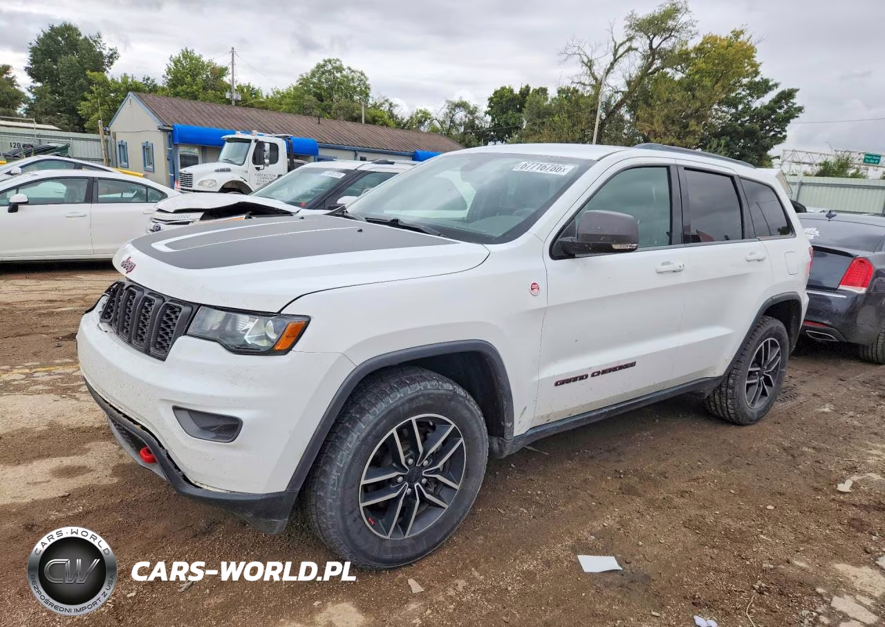 2019 Jeep Grand Cherokee Trailhawk VIN:1C4RJFLG0KC578889 - 1