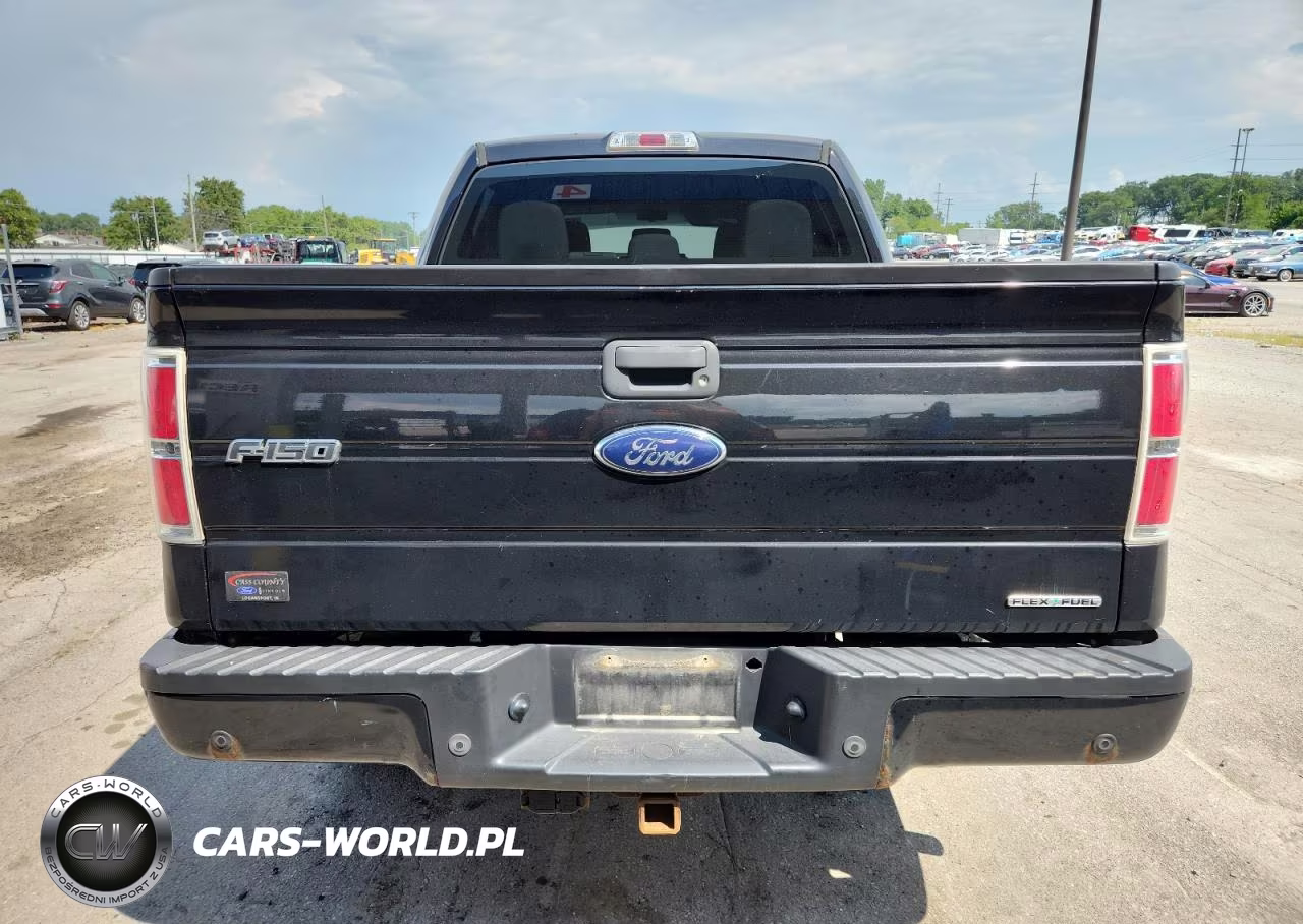 2014 Ford F150 Supercrew VIN:1FTFW1EF6EFA09866 - 6