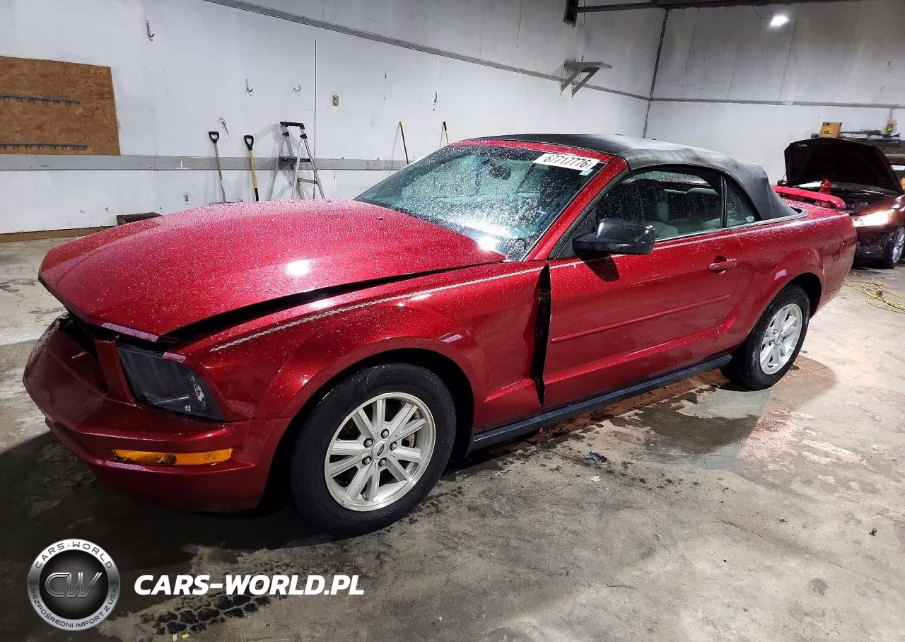 2006 Ford Mustang VIN:1ZVFT84N165202361 - 1