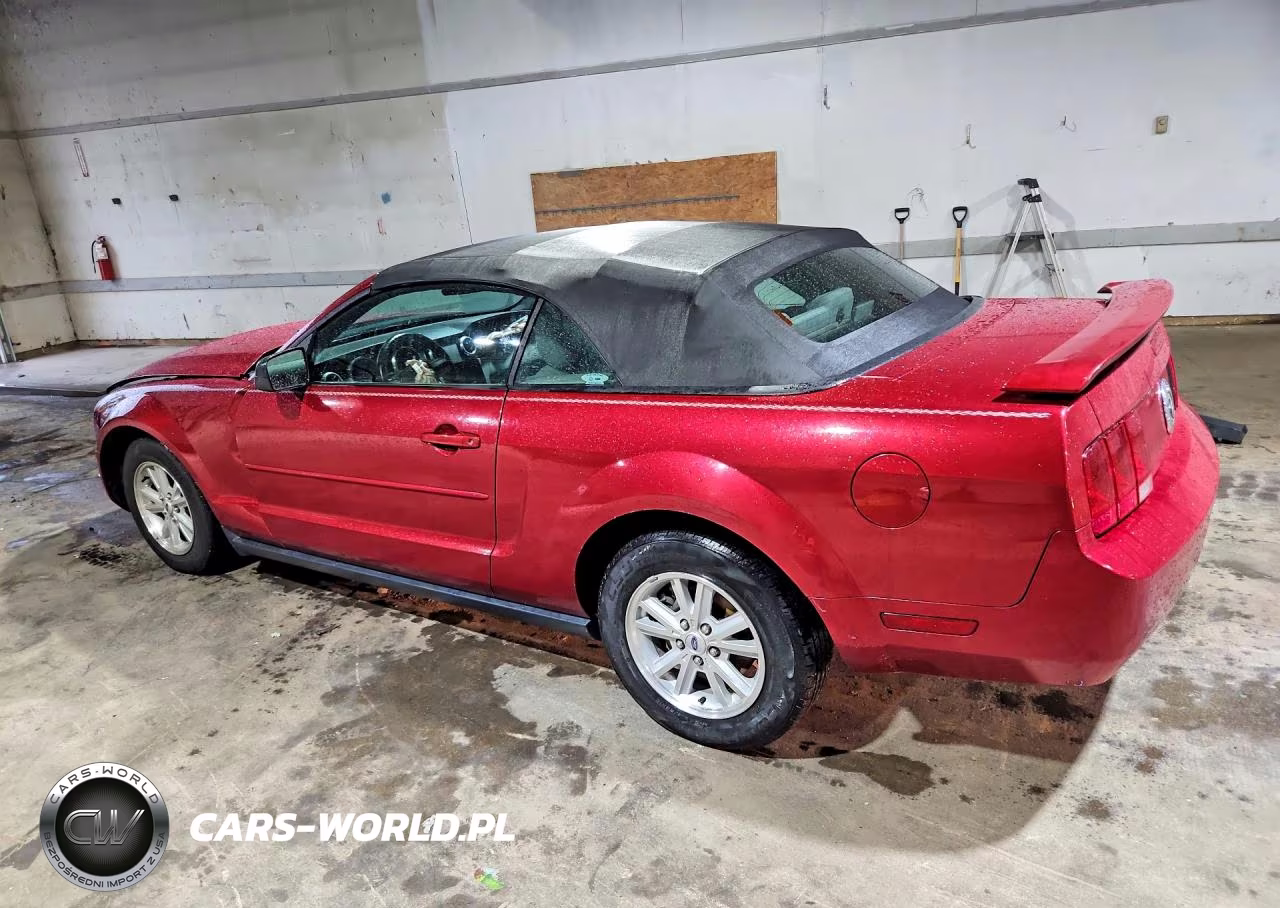 2006 Ford Mustang VIN:1ZVFT84N165202361 - 2