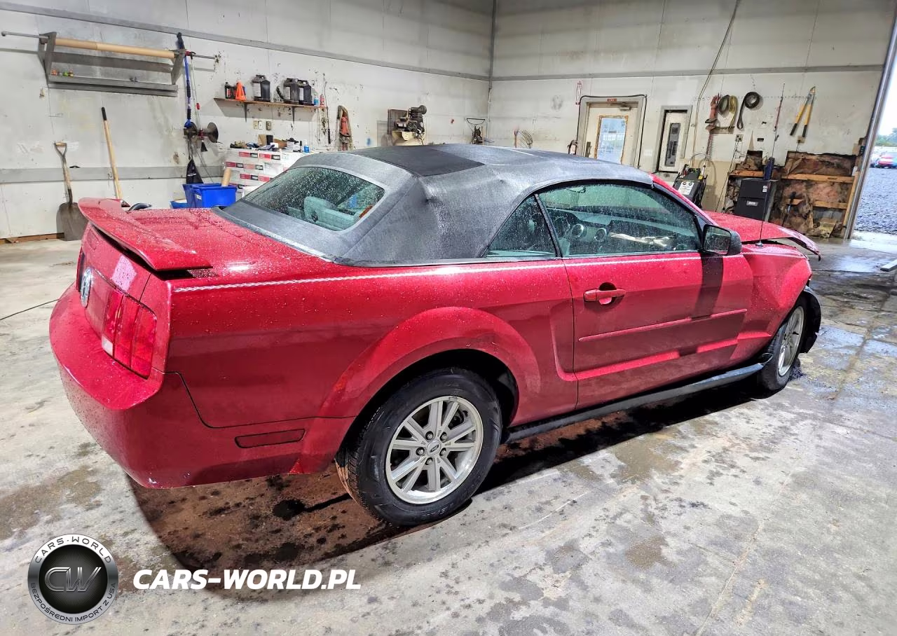 2006 Ford Mustang VIN:1ZVFT84N165202361 - 3
