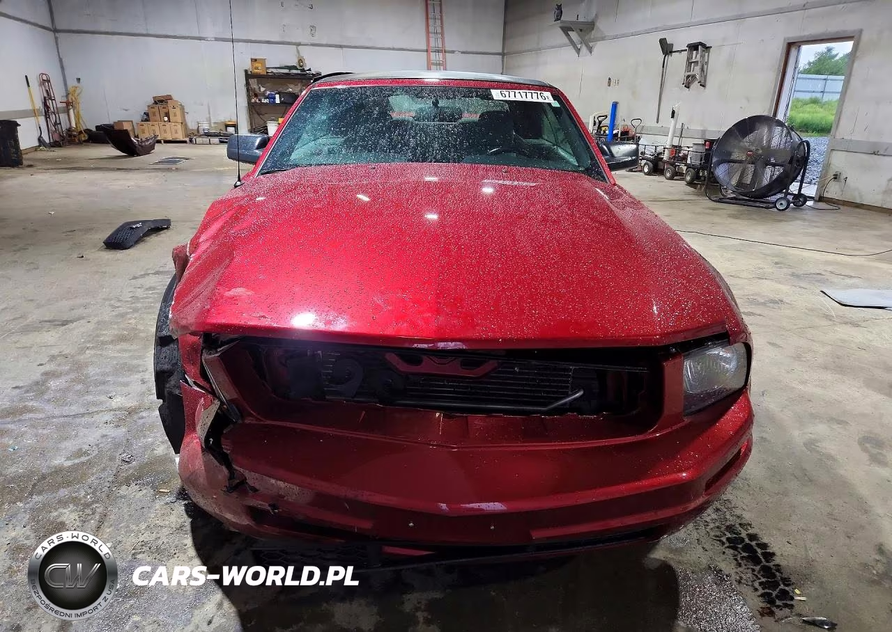 2006 Ford Mustang VIN:1ZVFT84N165202361 - 5
