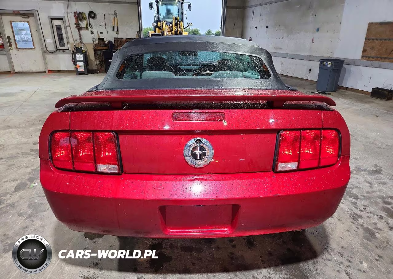 2006 Ford Mustang VIN:1ZVFT84N165202361 - 6