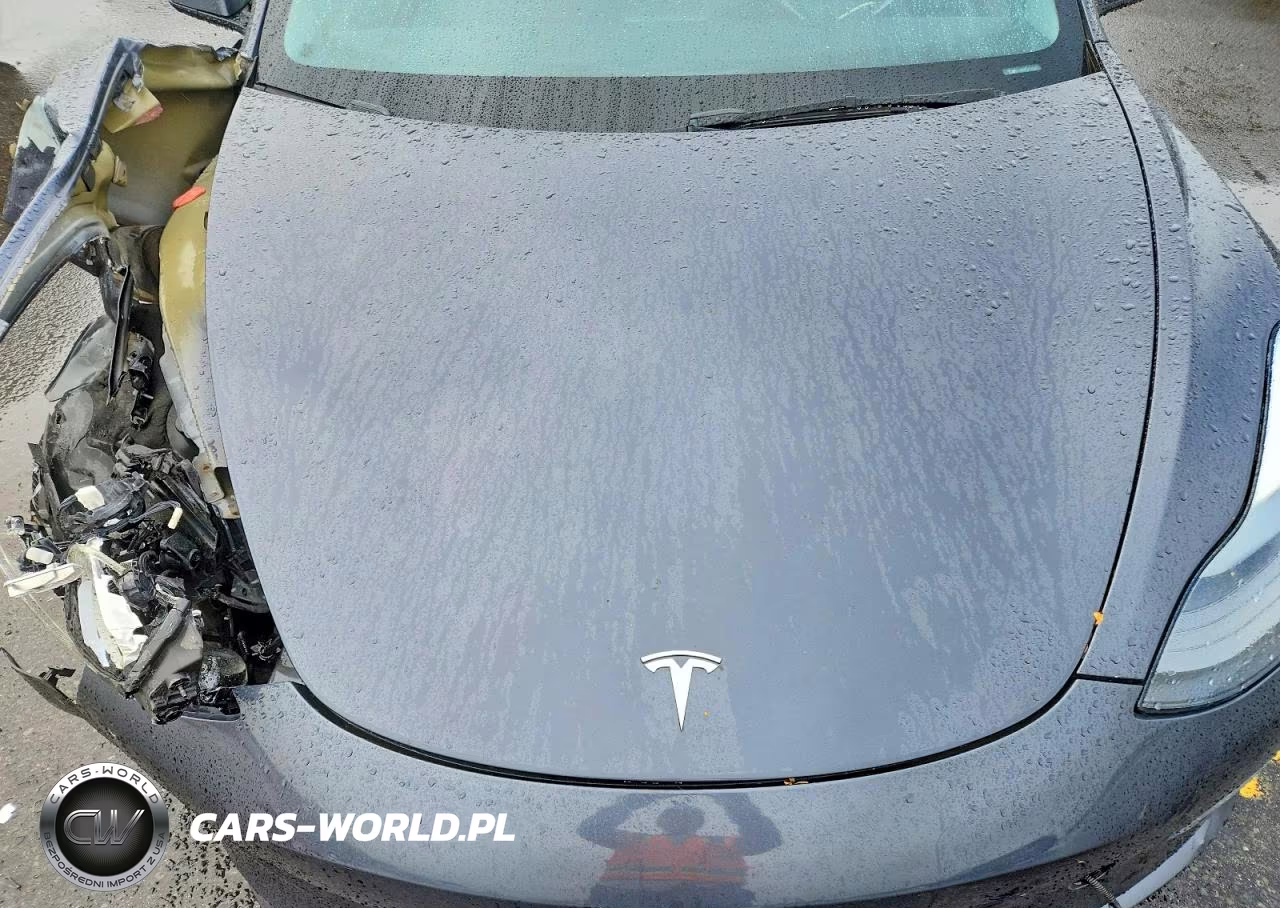 2023 Tesla Model 3 VIN:5YJ3E1EA5PF675604 - 11