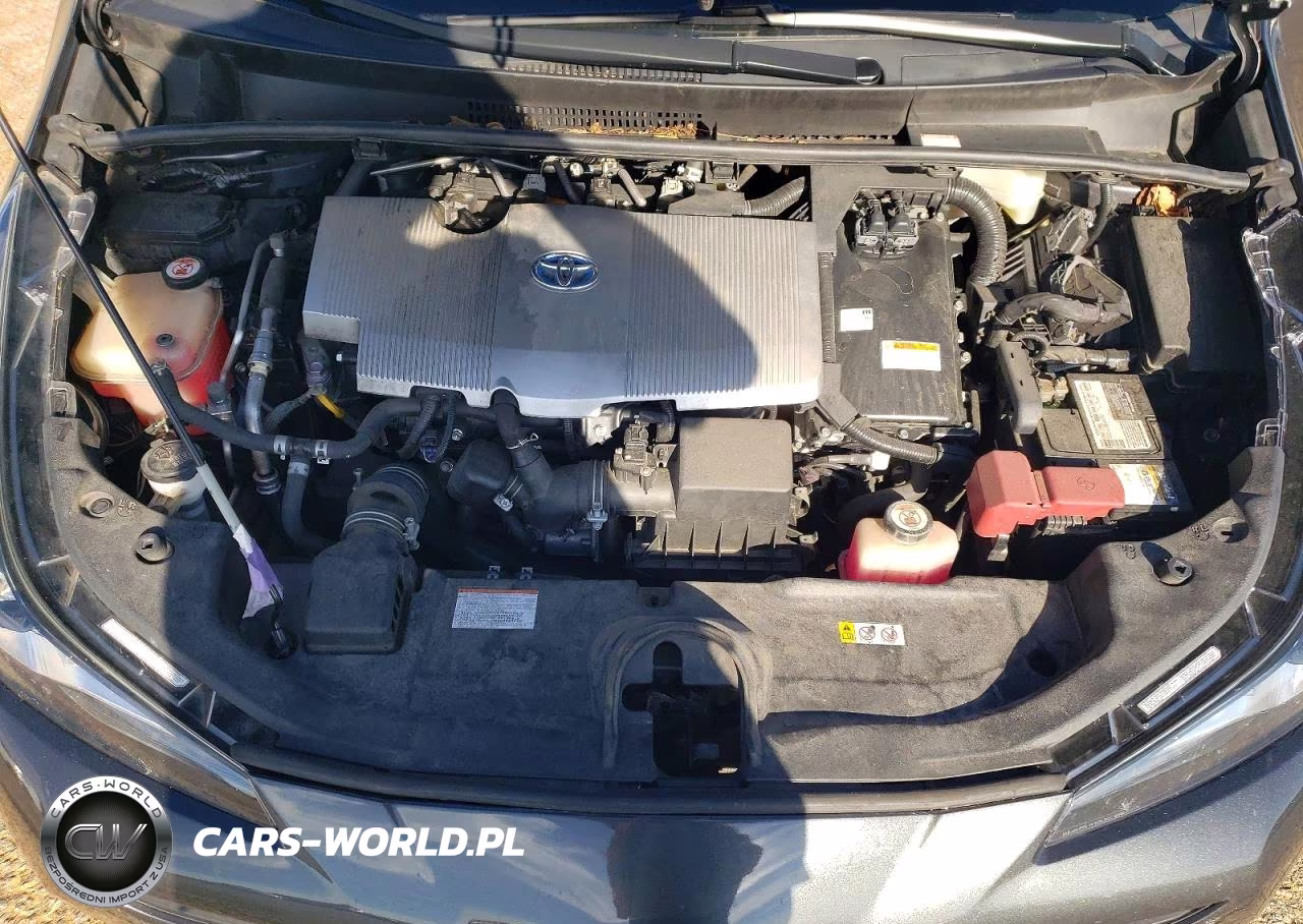 2019 Toyota Prius L Eco VIN:JTDKARFU7K3095324 - 12