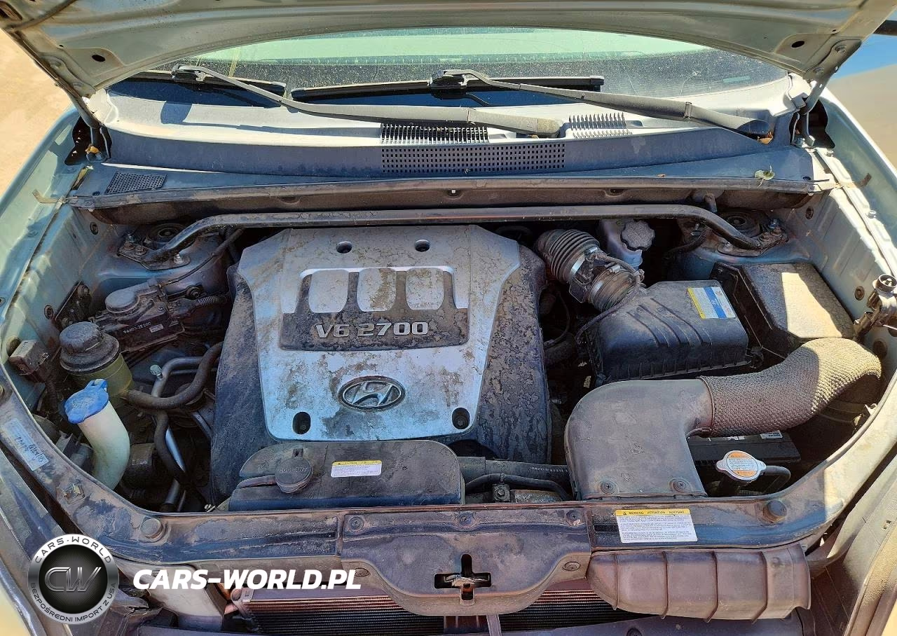 2006 Hyundai Tucson Gls VIN:KM8JN72D46U341722 - 11