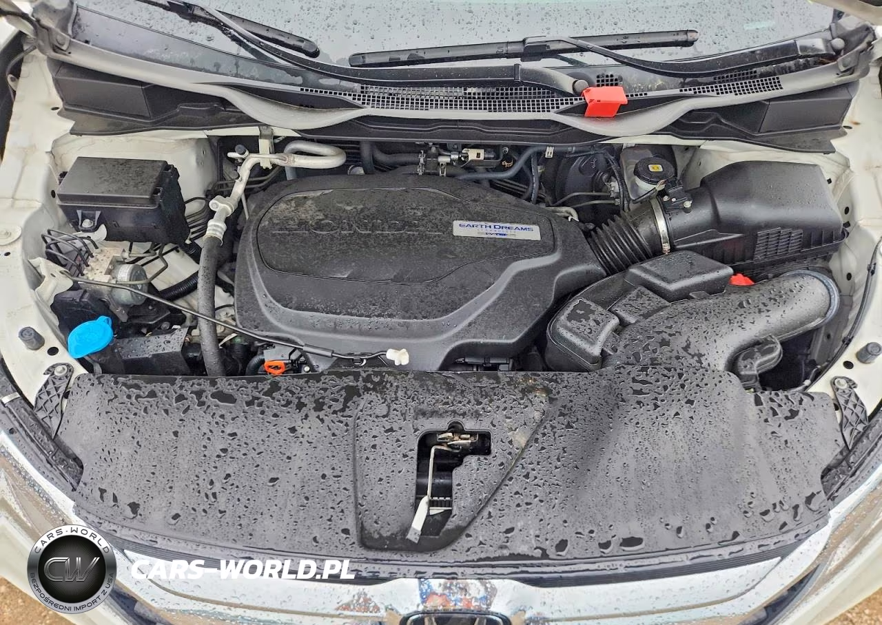 2019 Honda Odyssey Exl VIN:5FNRL6H71KB065527 - 11