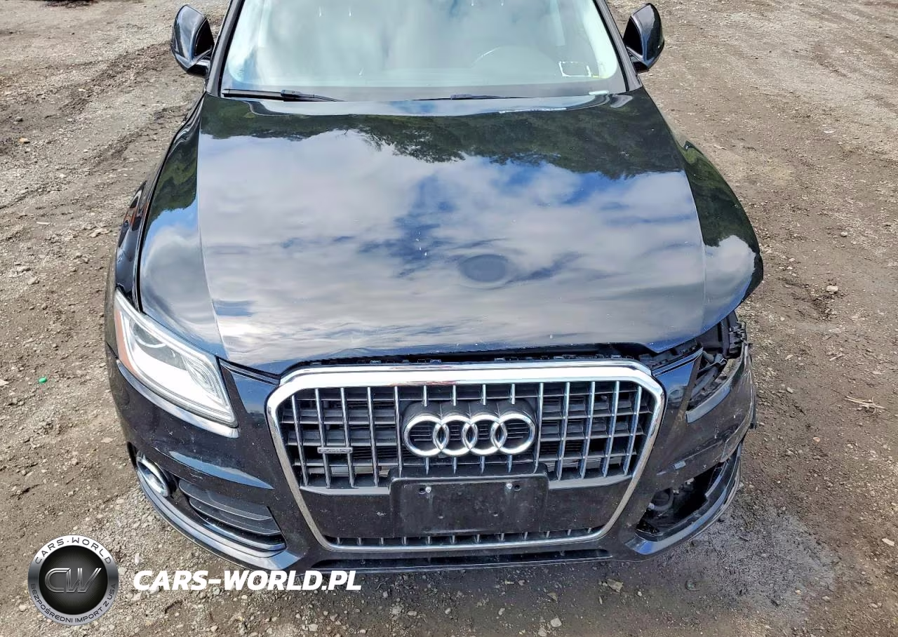 2016 Audi Q5 Premium VIN:WA1C2AFP9GA116670 - 12