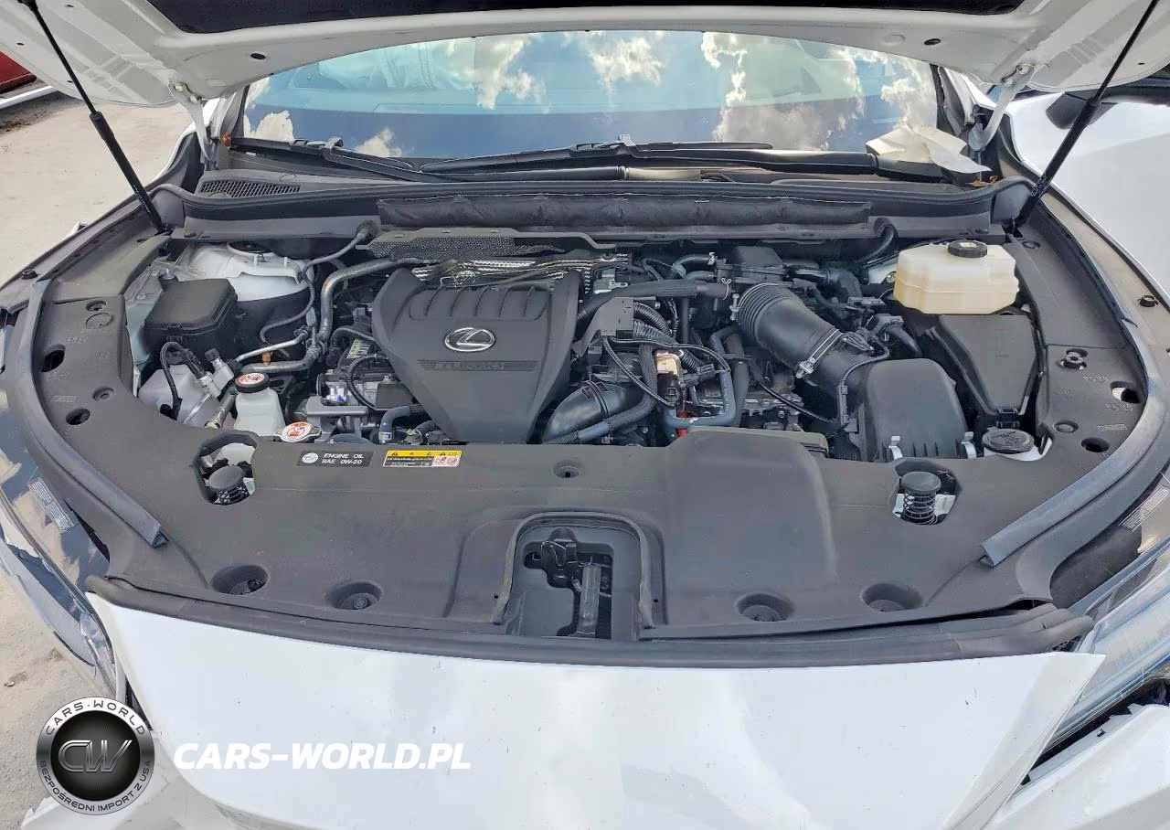 2023 Lexus Rx 500H F Sport VIN:2T2BCMEAXPC003413 - 12