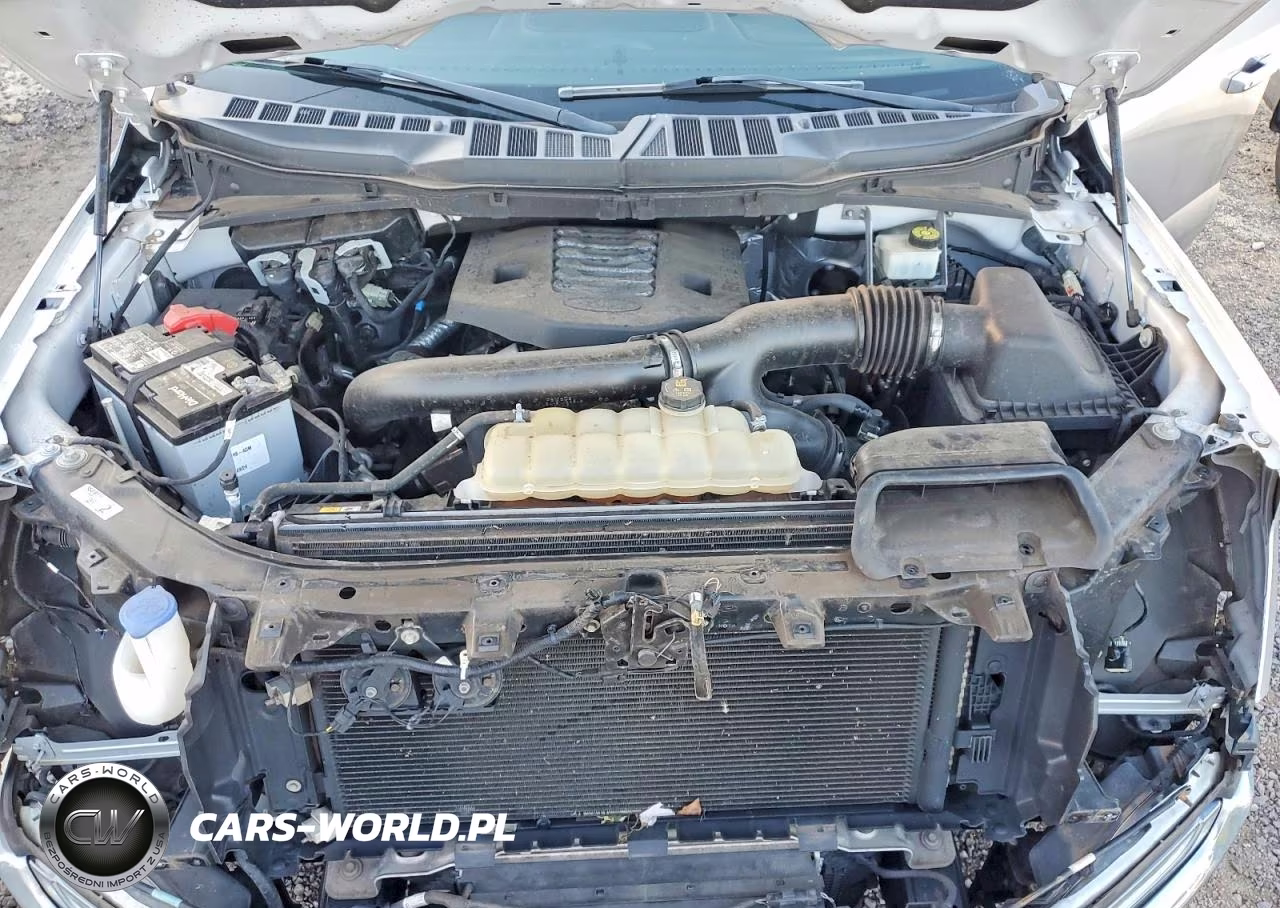 2021 Ford F150 Supercrew VIN:1FTEW1C82MFA42121 - 11