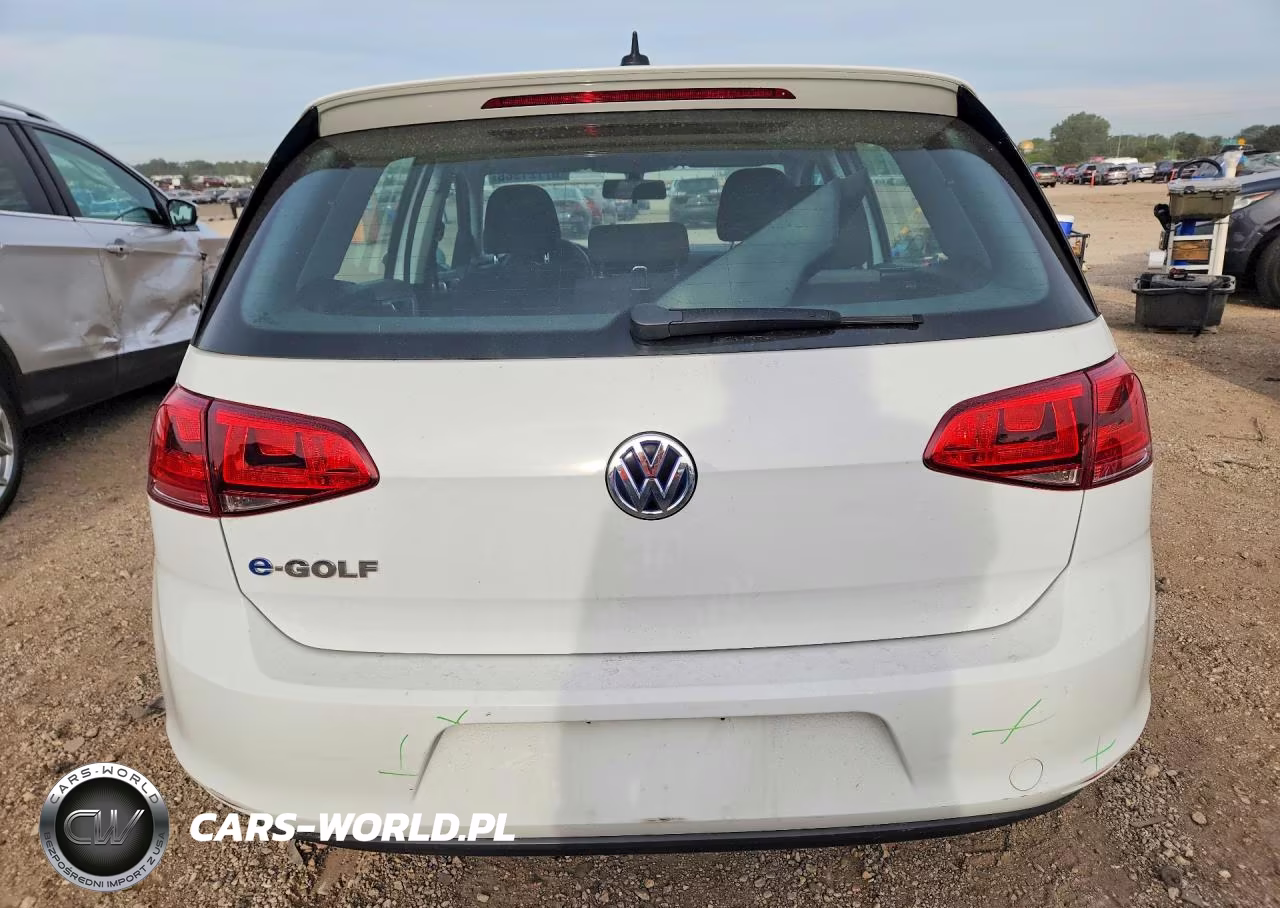 2016 Volkswagen E-Golf Se VIN:WVWKP7AUXGW916447 - 6