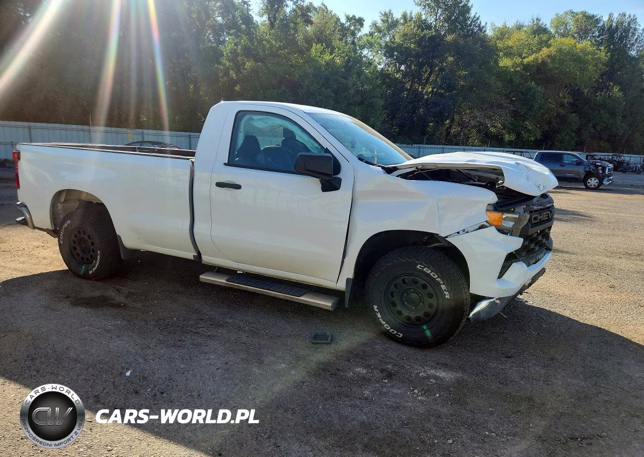 2022 Chevrolet Silverado C1500 VIN:3GCNAAED2NG556933 - 4