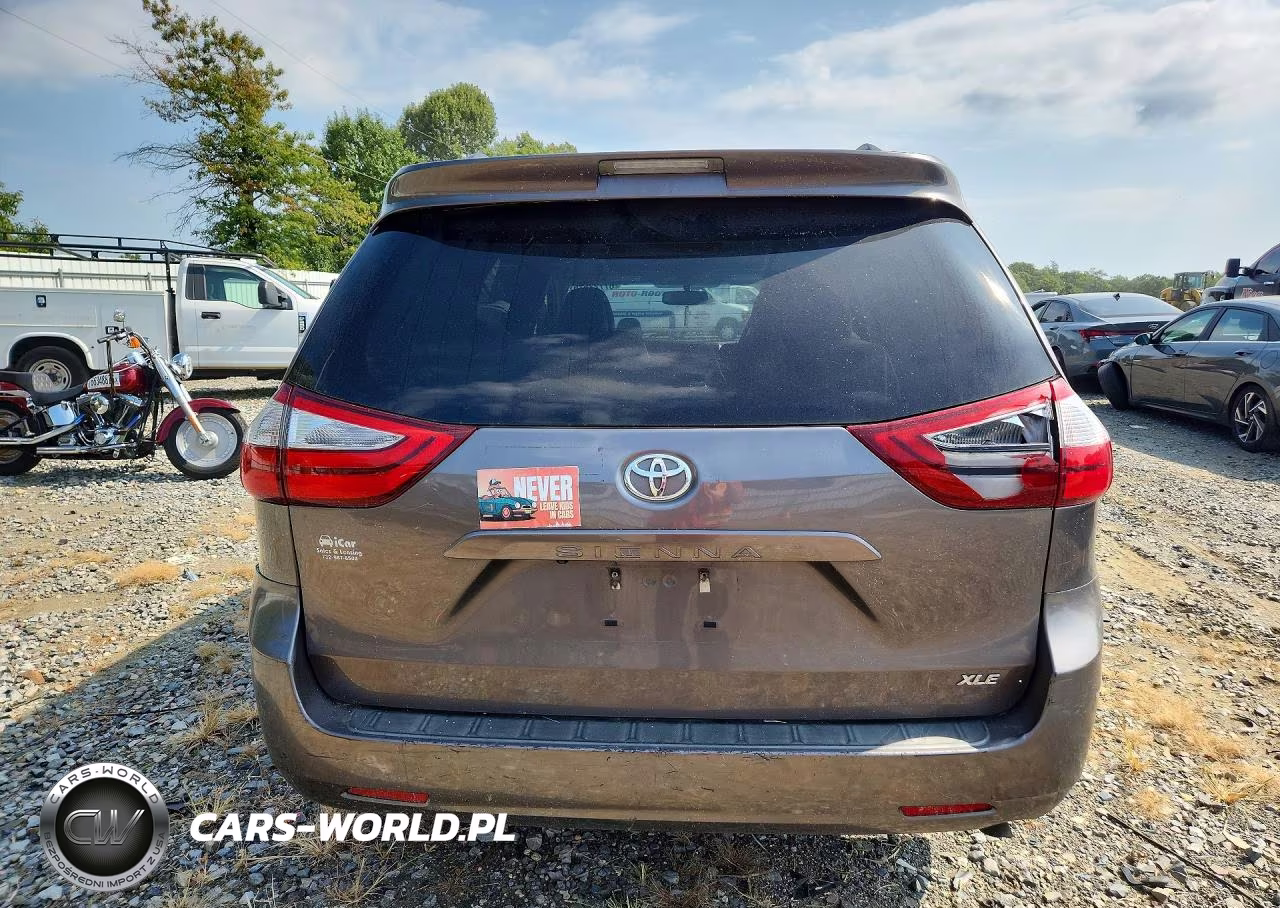 2016 Toyota Sienna Xle 8-Passenger VIN:5TDYK3DC9GS751902 - 6