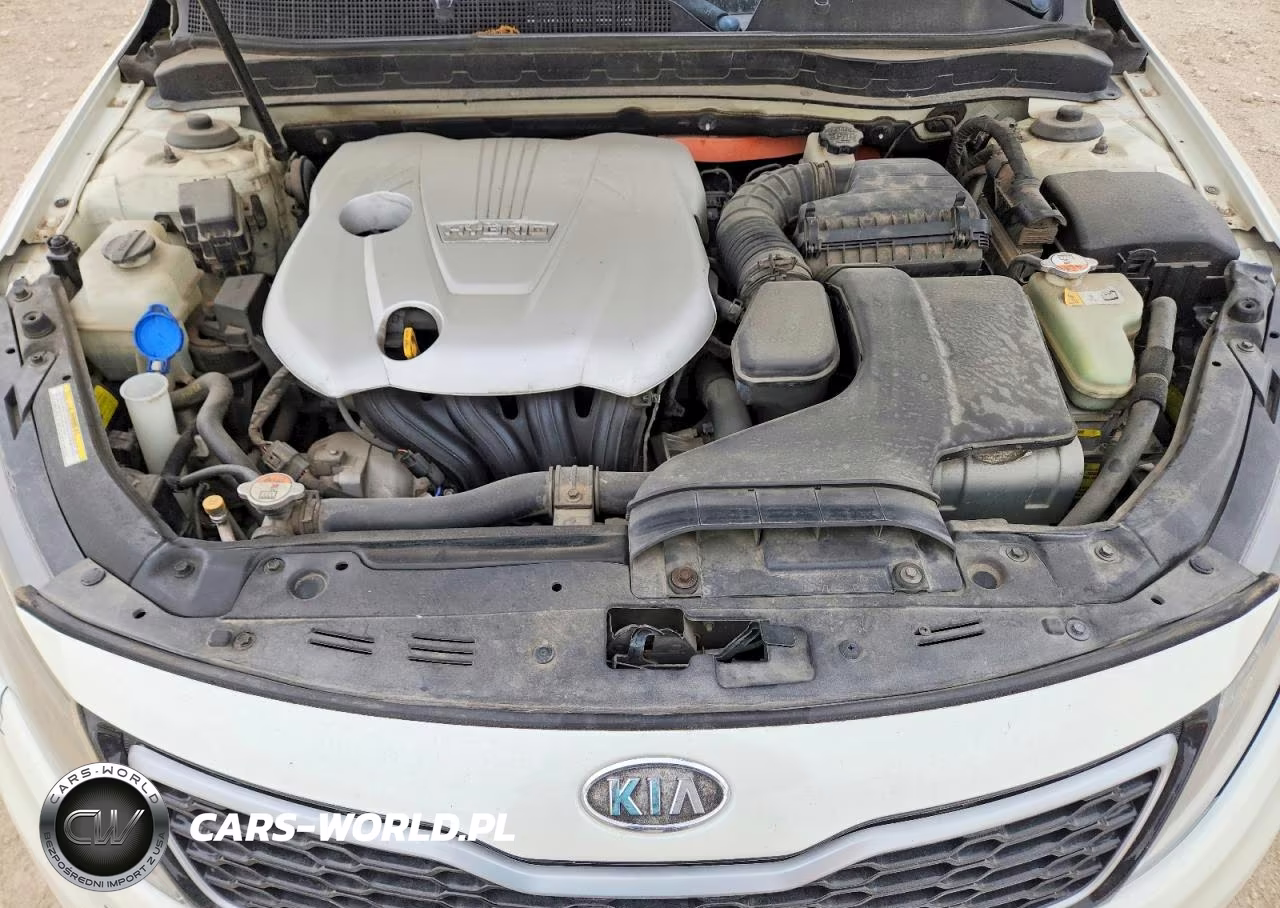 2012 Kia Optima Hybrid VIN:KNAGM4AD4C5009168 - 11