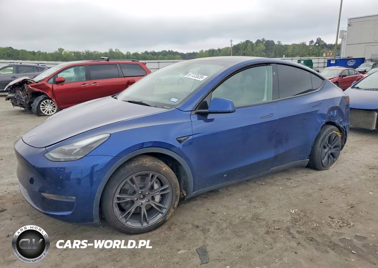 2025 Tesla Model Y VIN:7SAYGDEE5SA355213 - 1