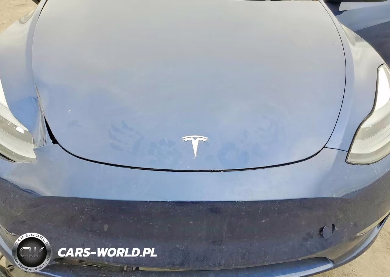 2025 Tesla Model Y VIN:7SAYGDEE5SA355213 - 11
