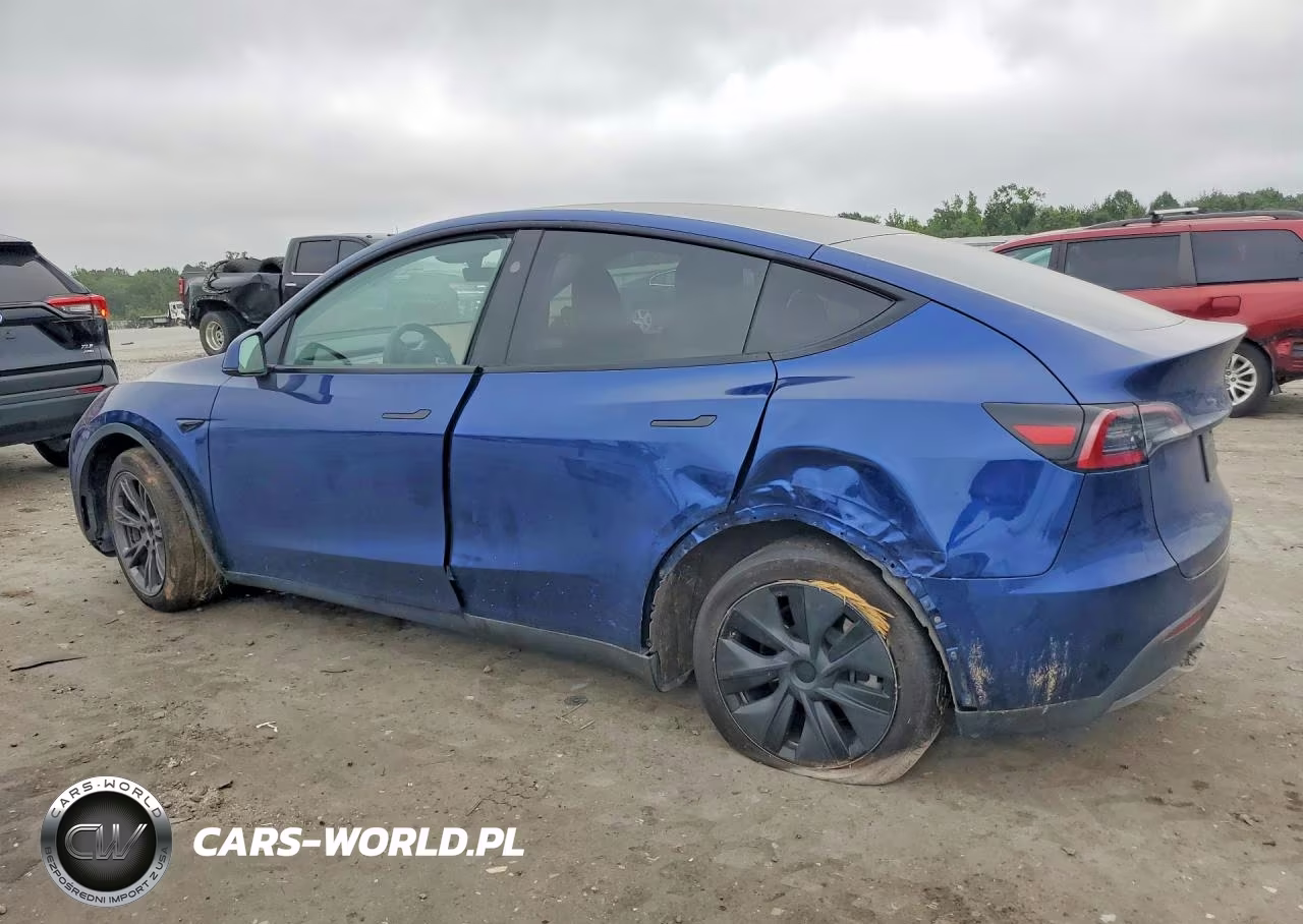 2025 Tesla Model Y VIN:7SAYGDEE5SA355213 - 2