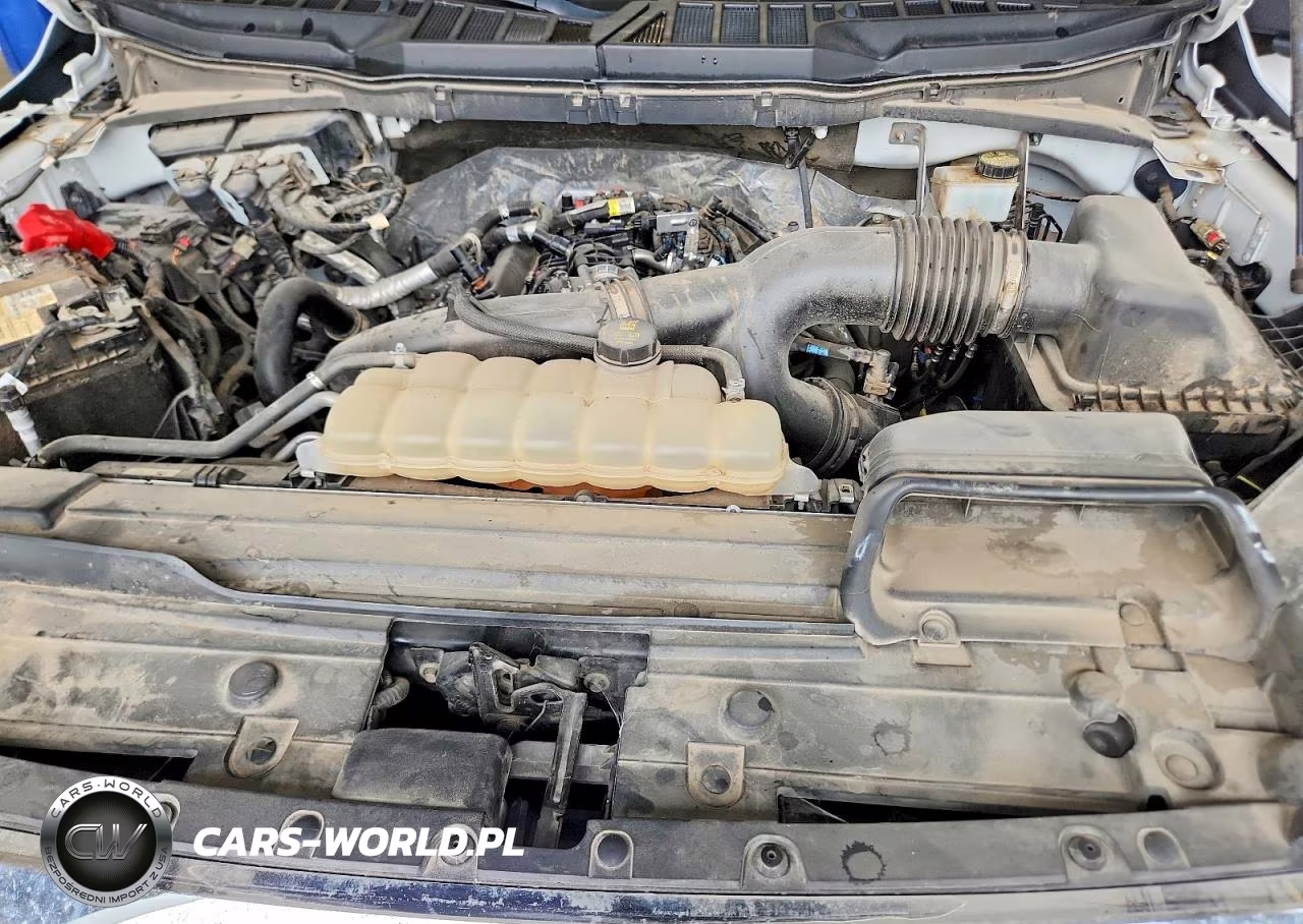 2021 Ford F150 Supercrew VIN:1FTEW1EPXMKE38020 - 11