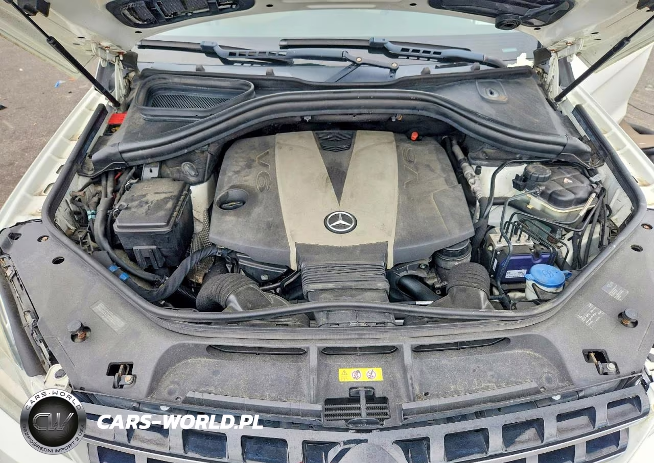 2013 Mercedes-Benz Ml 350 Bluetec VIN:4JGDA2EB5DA166594 - 12