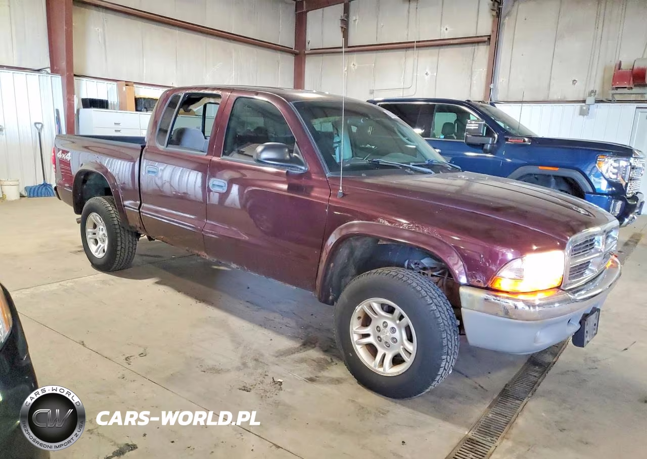 2004 Dodge Dakota Quad Slt VIN:1D7HG48NX4S731041 - 4