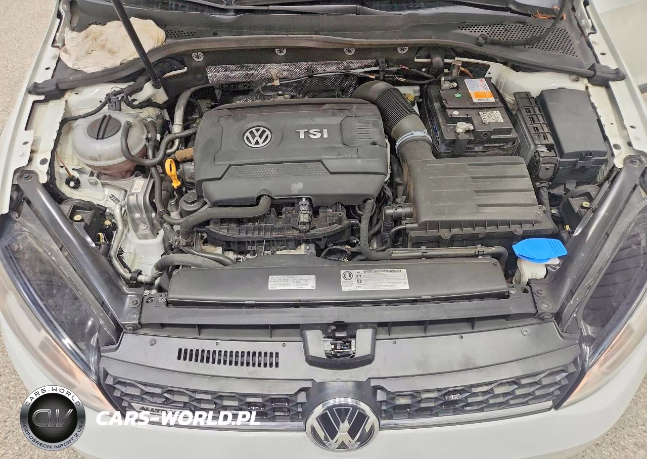 2017 Volkswagen Golf Alltrack S VIN:3VWH17AU7HM542809 - 12
