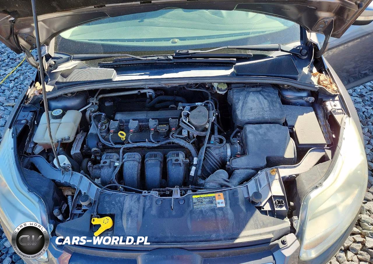 2013 Ford Focus Se VIN:1FADP3F29DL209478 - 11