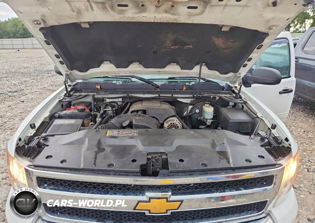 2009 Chevrolet Silverado K1500 Lt VIN:3GCEK23339G184506 - 11