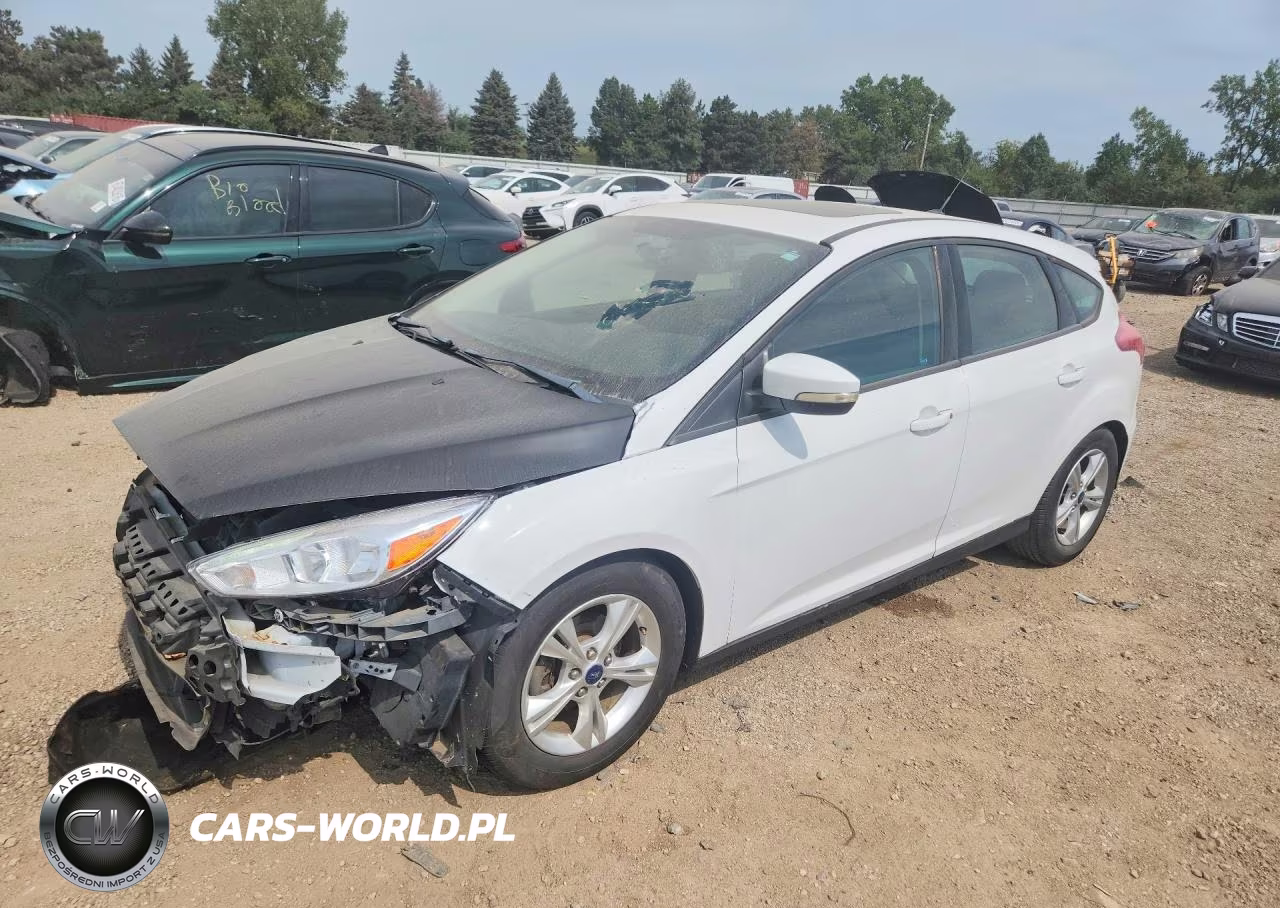 2016 Ford Focus Se VIN:1FADP3K25GL284396 - 1