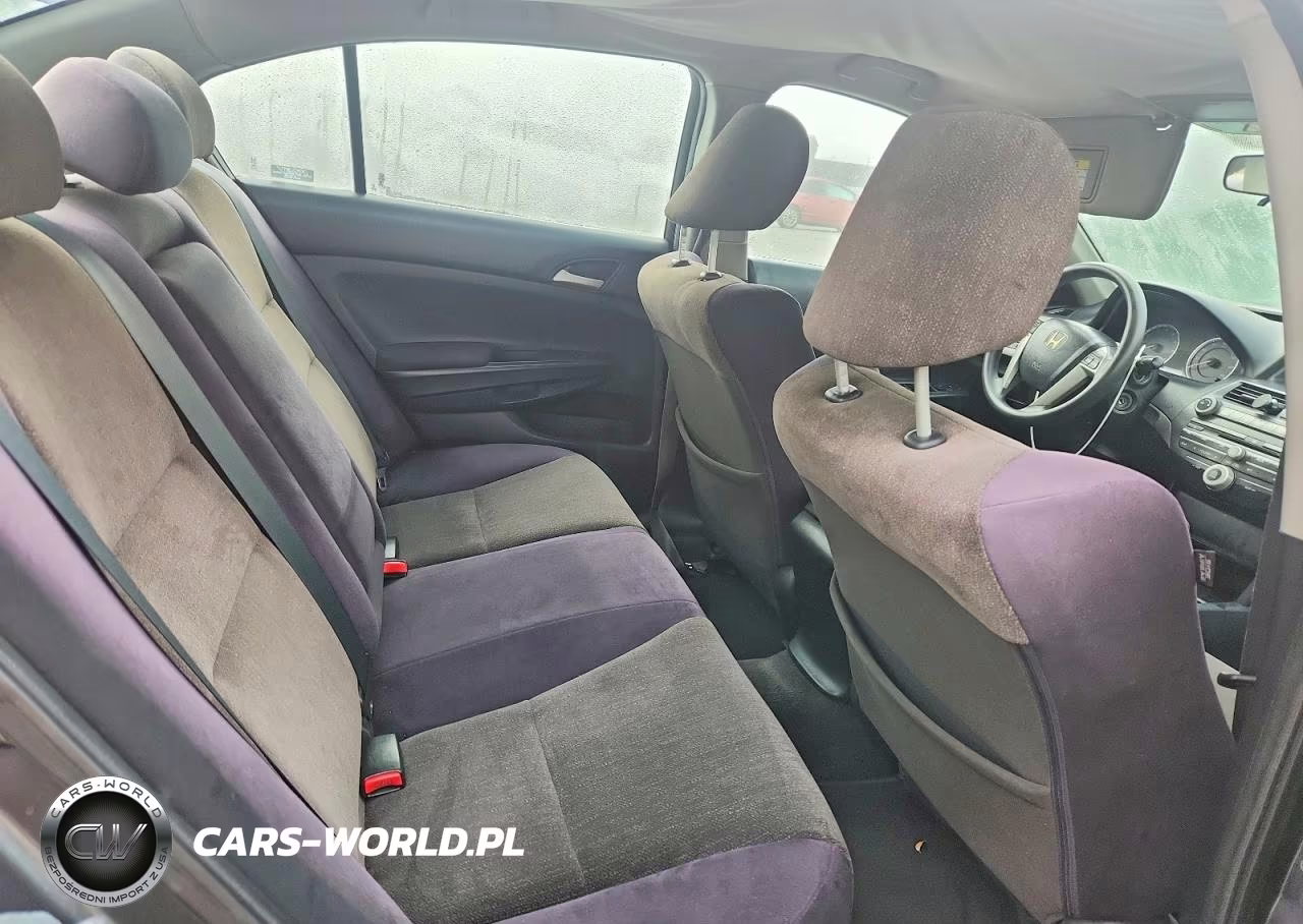2010 Honda Accord Lxp VIN:1HGCP2F49AA175195 - 10