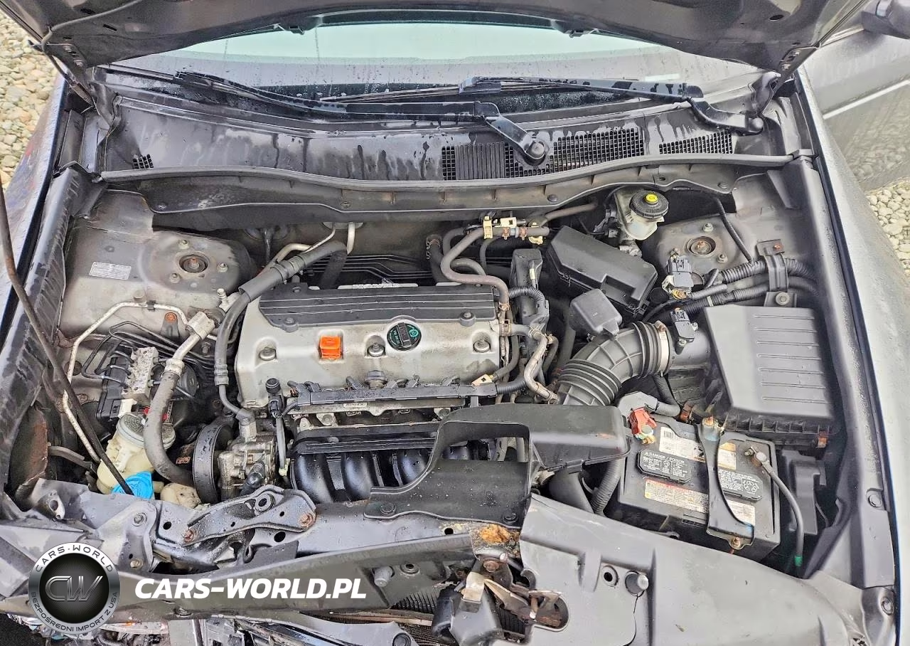 2010 Honda Accord Lxp VIN:1HGCP2F49AA175195 - 11
