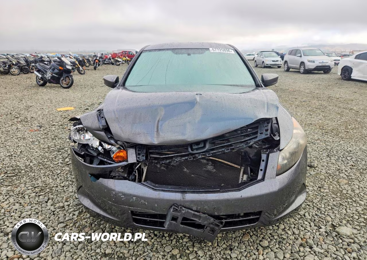 2010 Honda Accord Lxp VIN:1HGCP2F49AA175195 - 5
