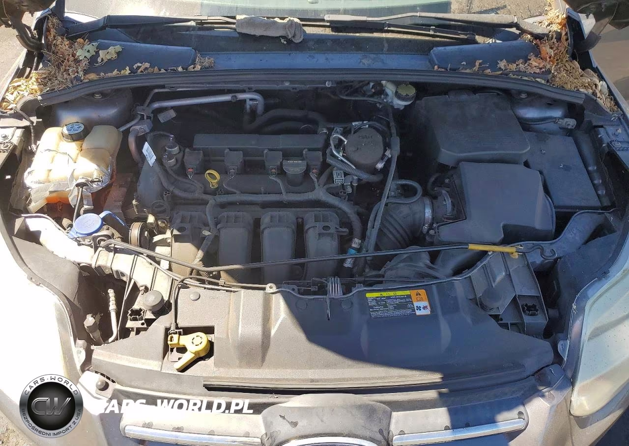 2013 Ford Focus Se VIN:1FADP3F26DL153760 - 11