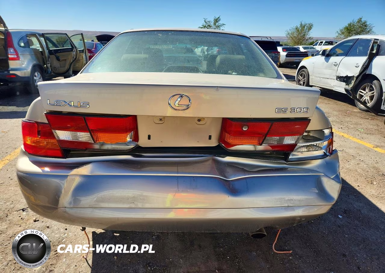 1999 Lexus Es 300 VIN:JT8BF28G1X0188878 - 6