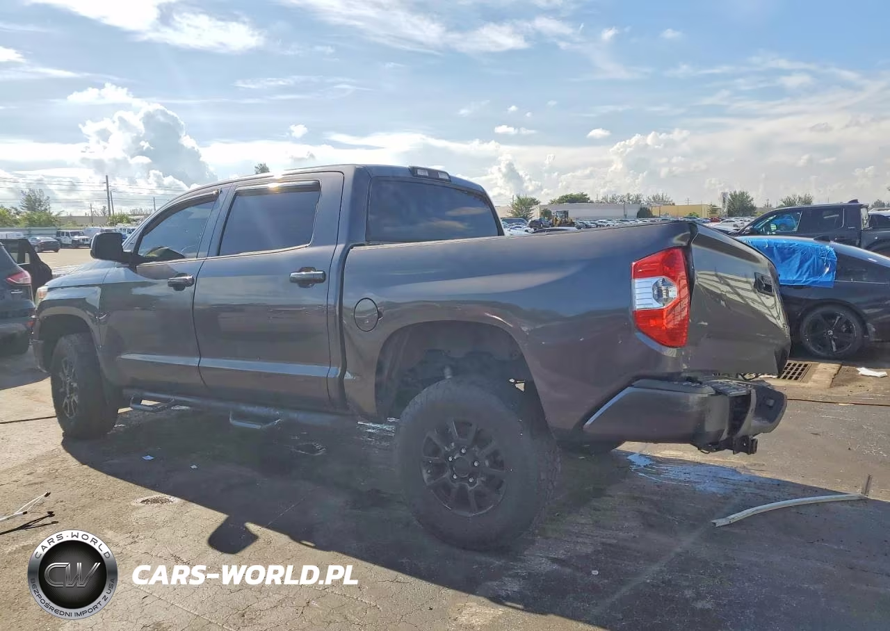 2018 Toyota Tundra Platinum VIN:5TFAY5F14JX741187 - 2