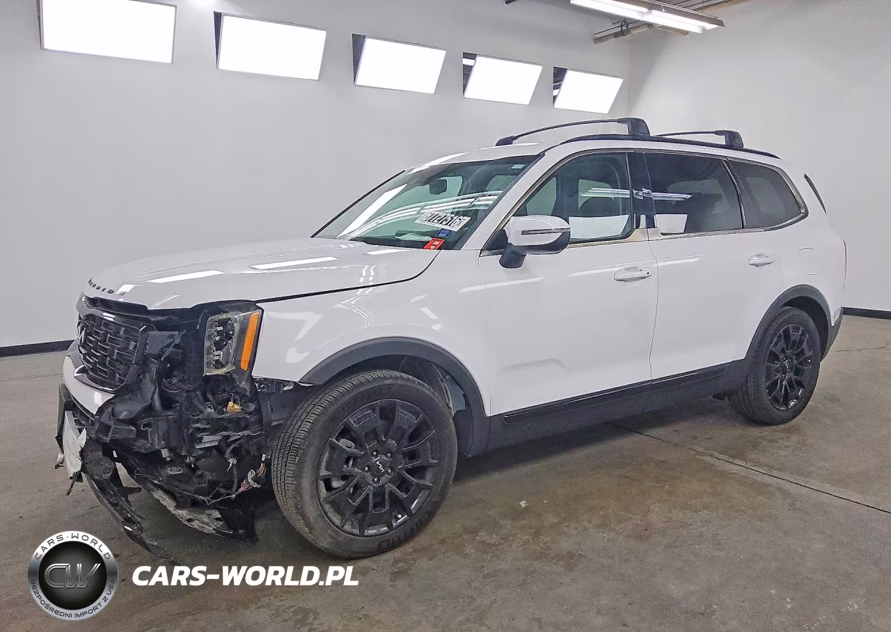 2022 Kia Telluride Ex VIN:5XYP3DHC9NG205152 - 1