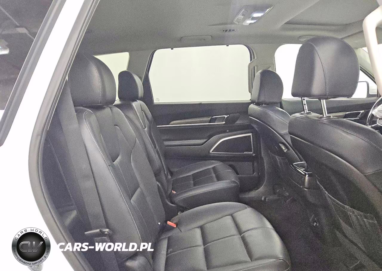 2022 Kia Telluride Ex VIN:5XYP3DHC9NG205152 - 10