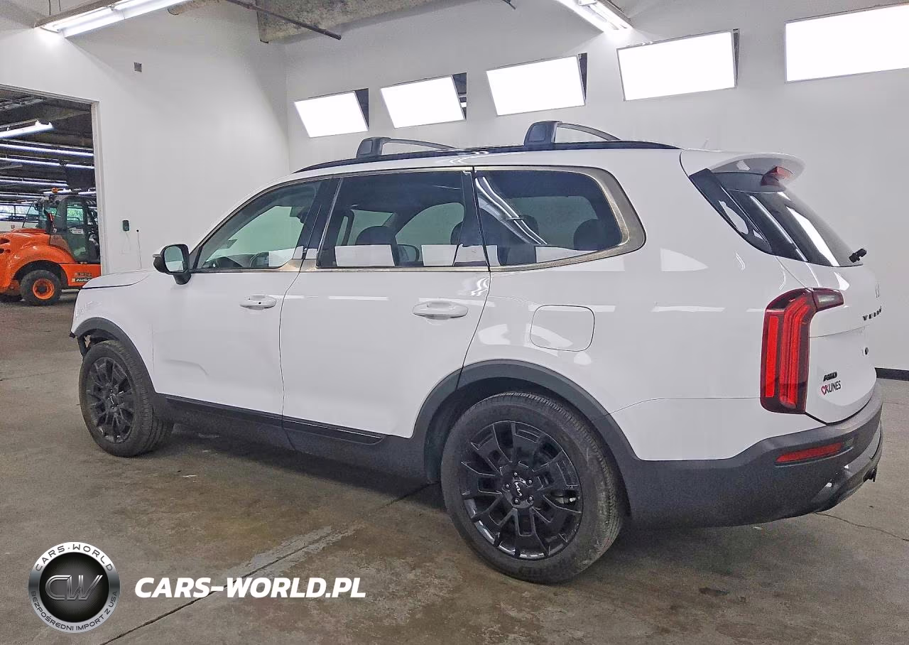 2022 Kia Telluride Ex VIN:5XYP3DHC9NG205152 - 2