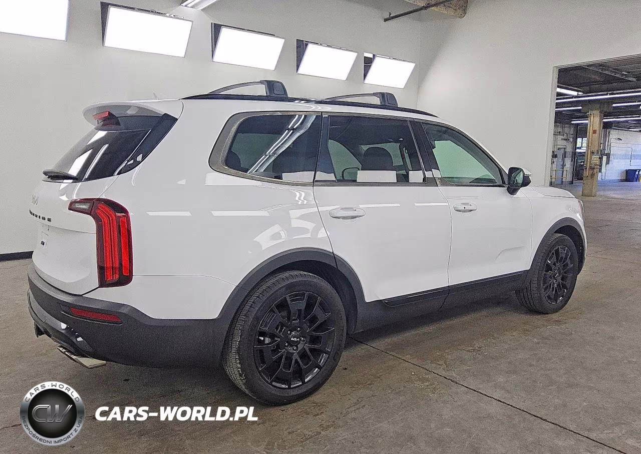 2022 Kia Telluride Ex VIN:5XYP3DHC9NG205152 - 3