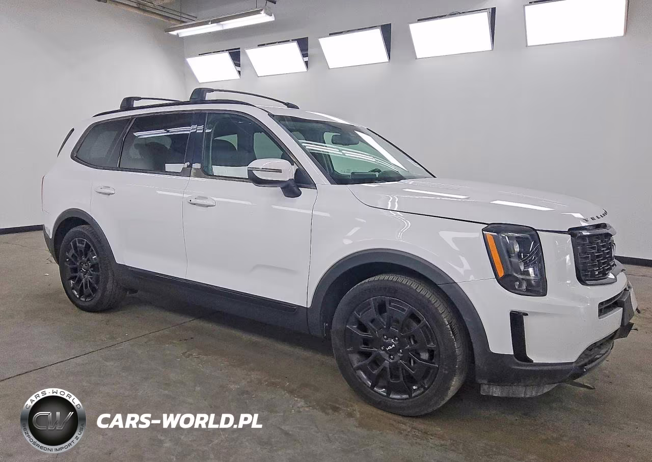 2022 Kia Telluride Ex VIN:5XYP3DHC9NG205152 - 4