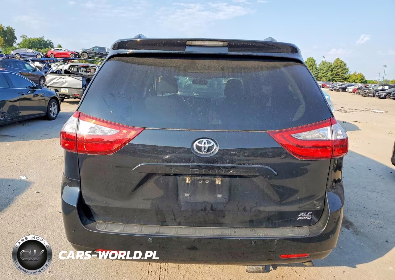2016 Toyota Sienna Xle Premium 7-Passenger VIN:5TDDK3DC0GS145094 - 6
