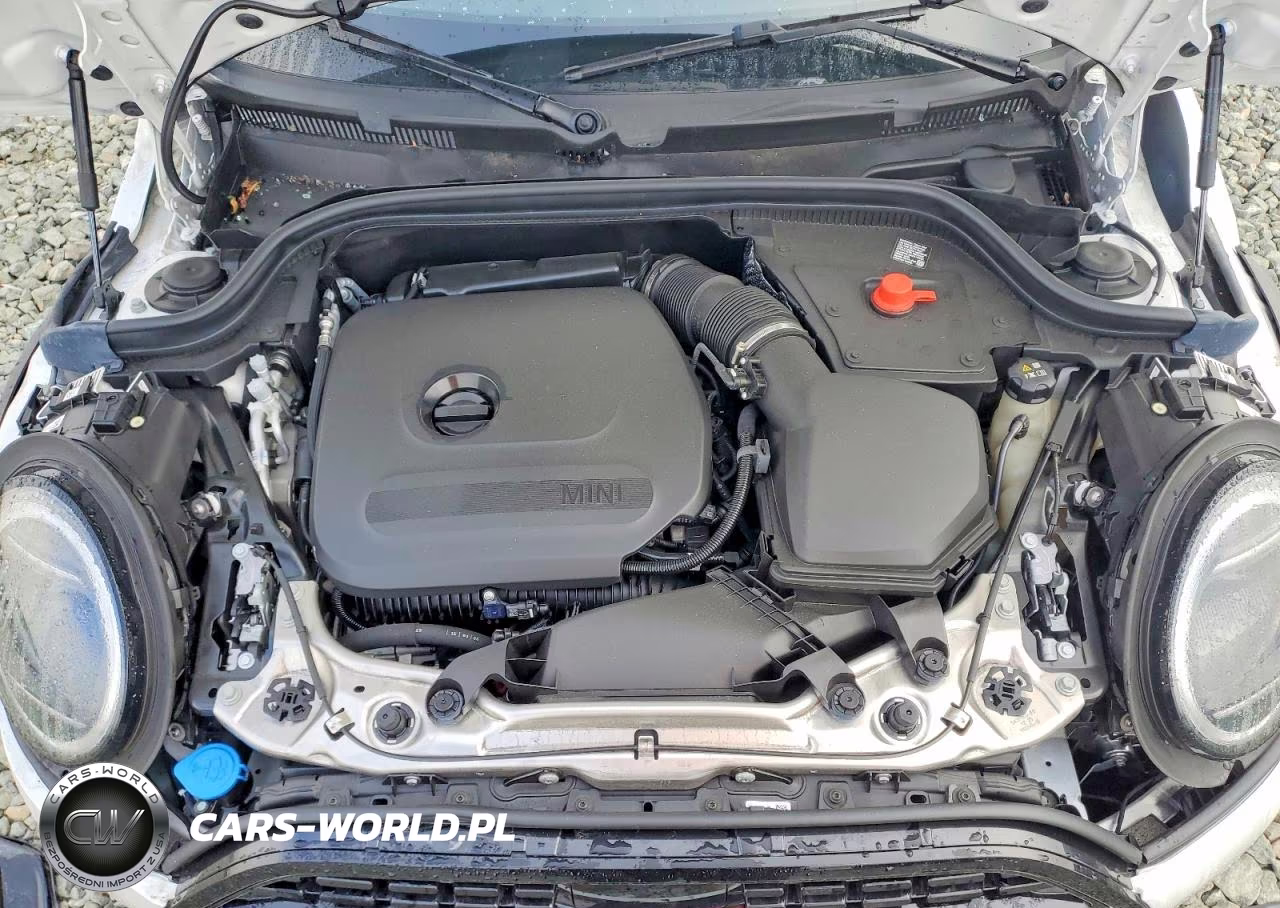 2025 Mini Cooper Base VIN:WMW43GD08S2X39505 - 11