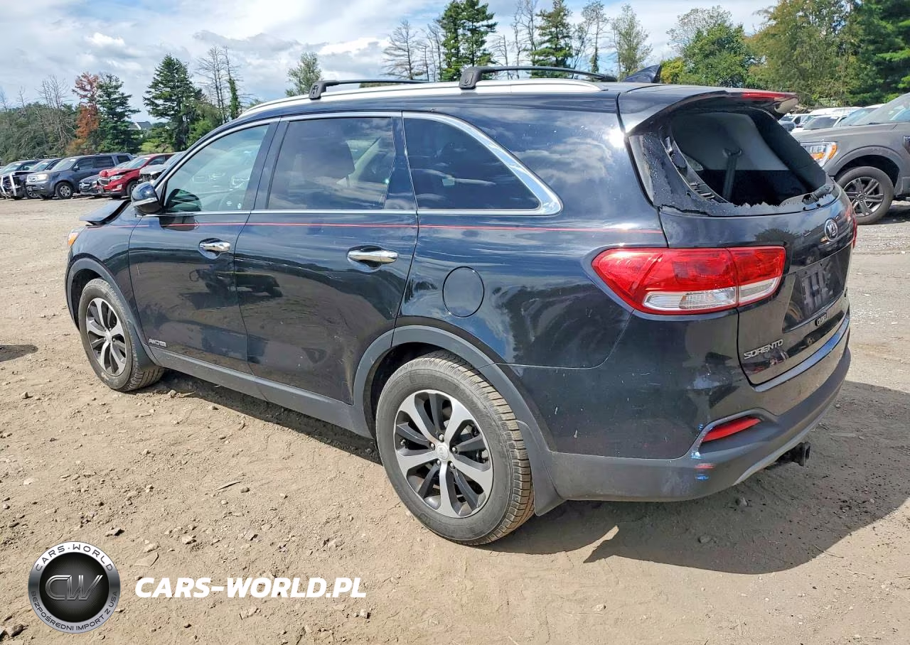 2017 Kia Sorento Ex VIN:5XYPHDA55HG200886 - 2